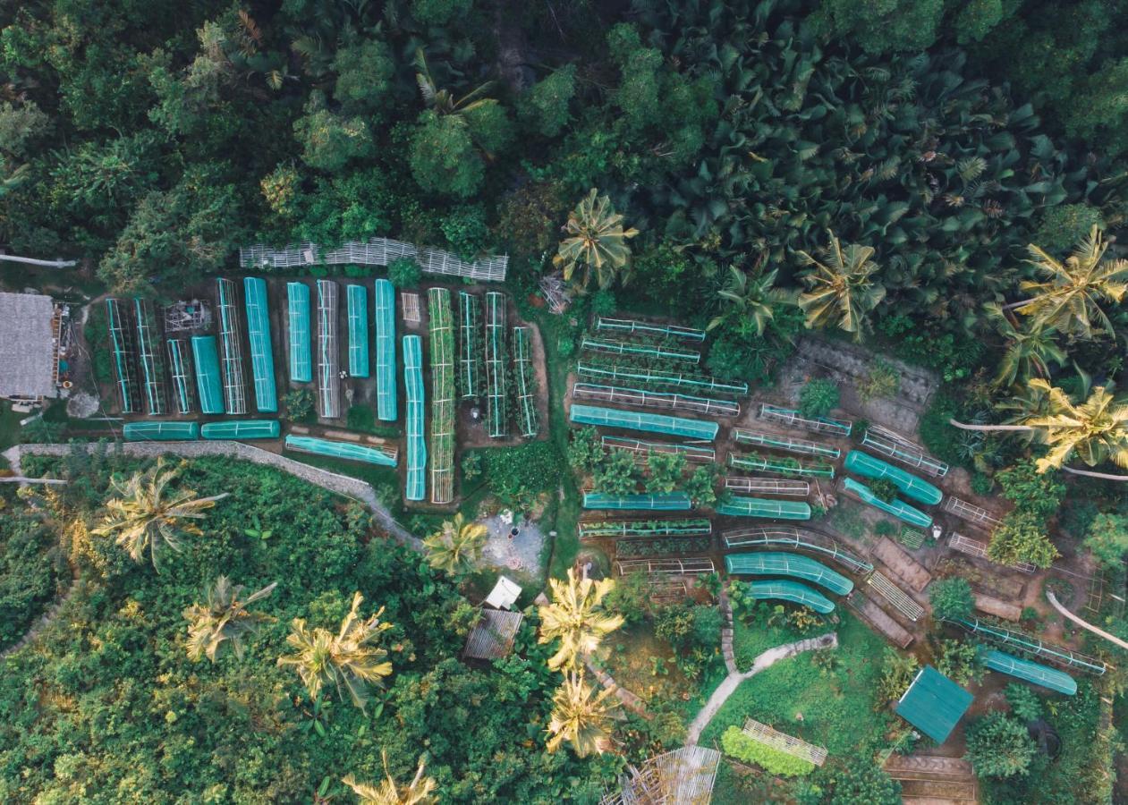 Ocean Green Eco Lodge Puerto Princesa Exteriér fotografie