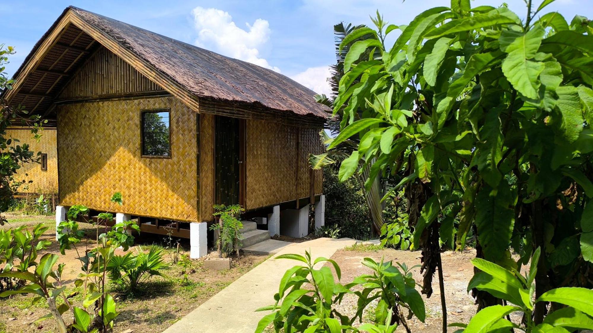 Ocean Green Eco Lodge Puerto Princesa Exteriér fotografie
